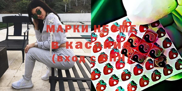 спиды Ельня