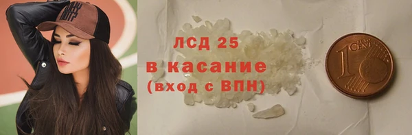 спиды Ельня