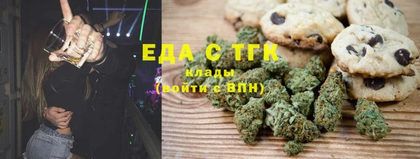 спиды Ельня