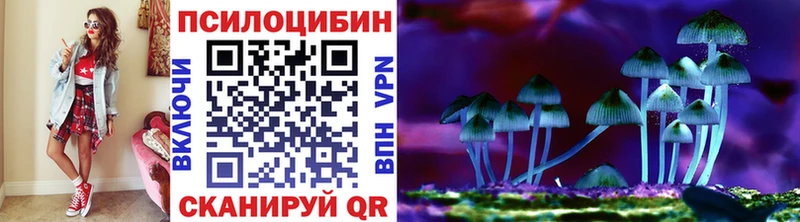 Галлюциногенные грибы GOLDEN TEACHER где купить наркотик Невельск